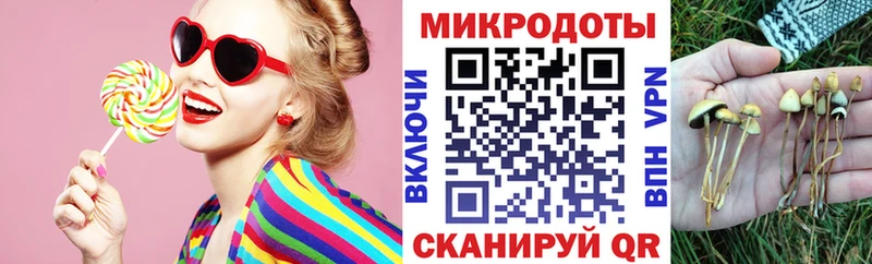 Галлюциногенные грибы мицелий  где купить   Дальнереченск 