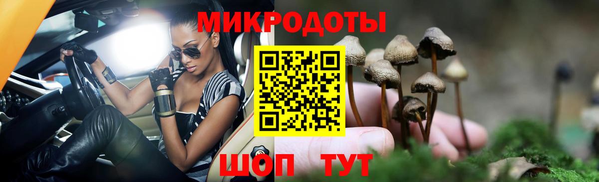 Дальнереченск  Галлюциногенные грибы мицелий  купить наркотик  Вход с VPN  Псилоцибиновые грибы Psilocybe 